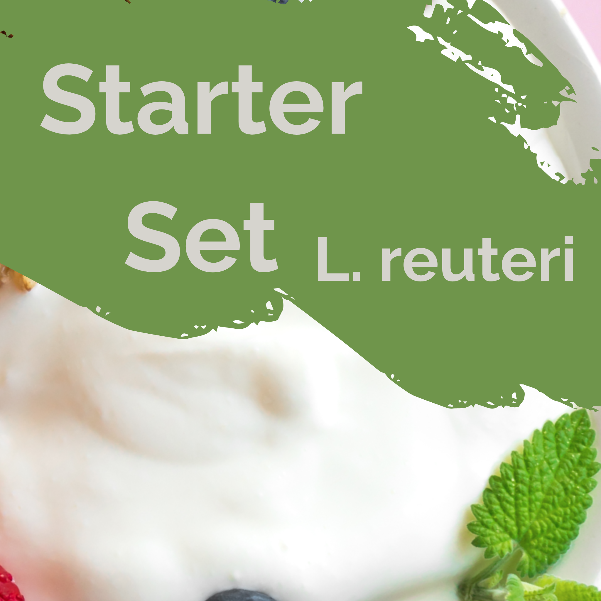 L. reuteri | Set de pornire pentru iaurt | Culturi de pornire | Pachet de 3